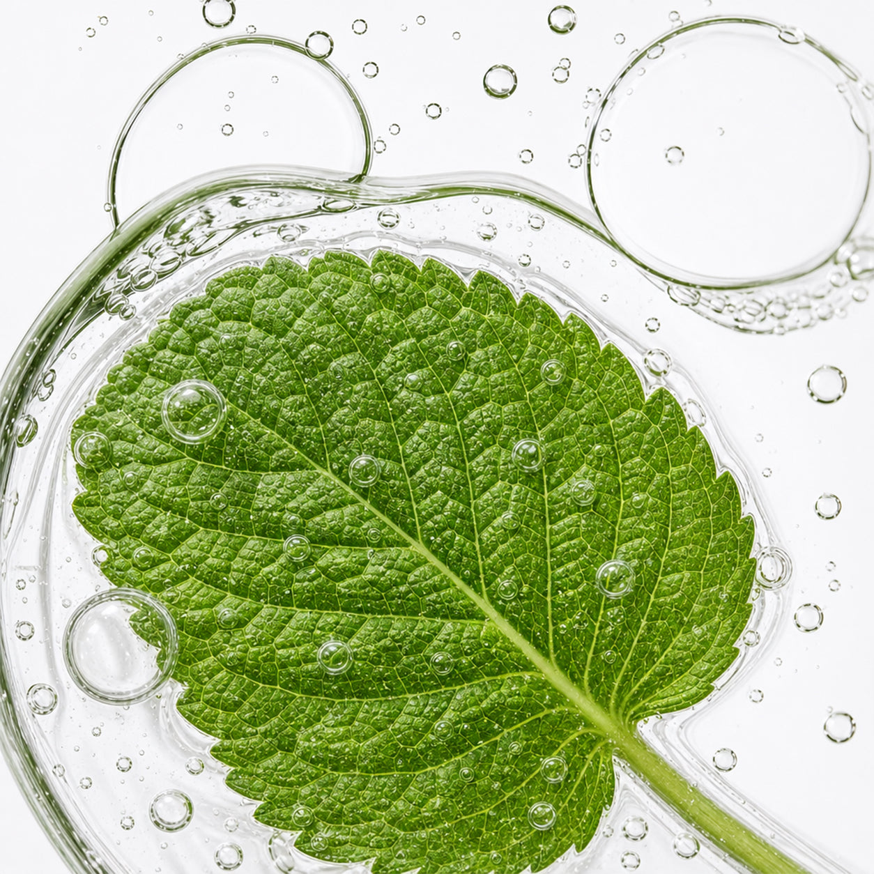 ingredients_3d2d03e5-5fc6-45ec-afb3-79a4ecc0a6b5.jpg
